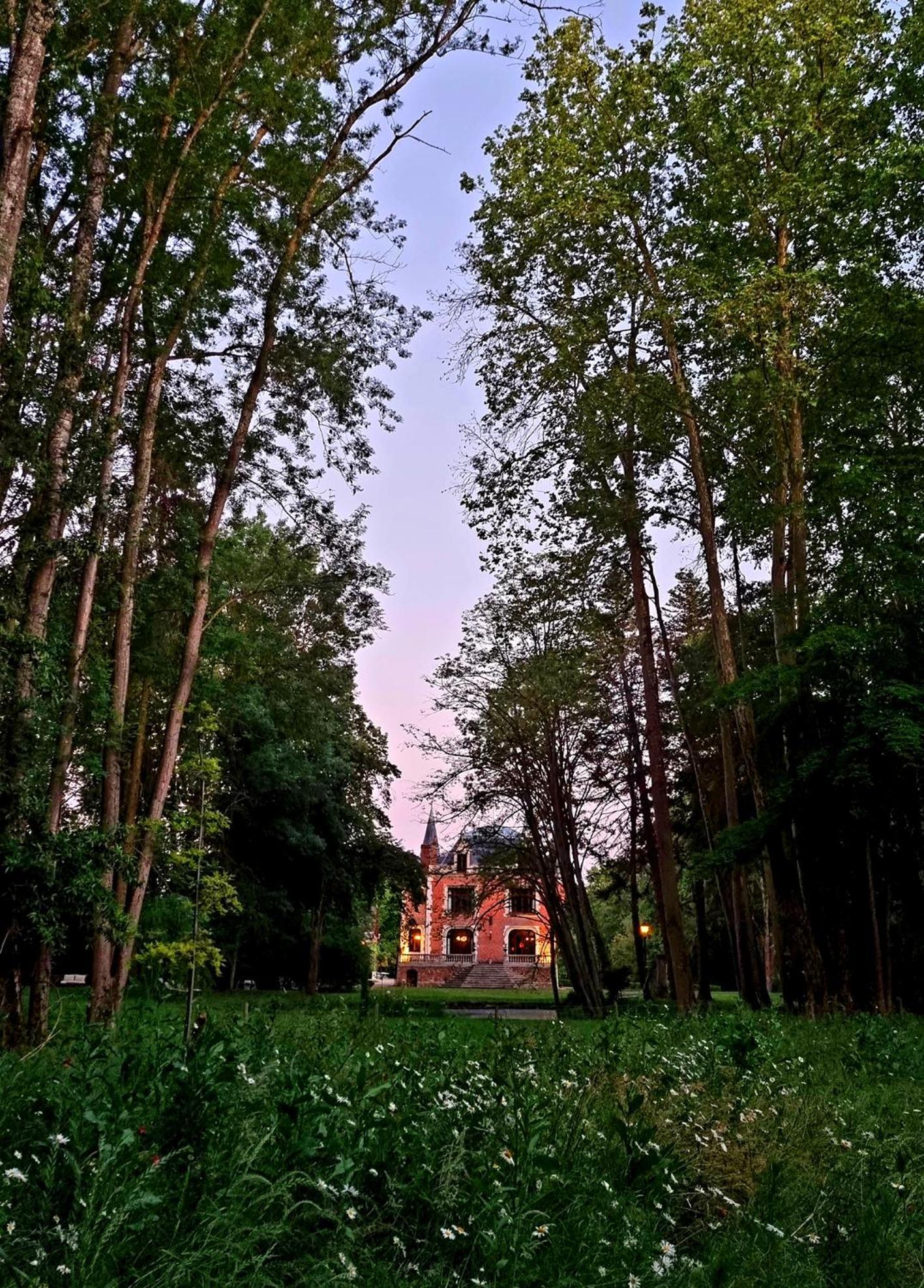 Chateau De Bonneau Suèvres Exterior foto